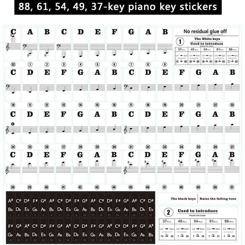 1PC adesivi per addestramento  - Keyboard Piano 61 Key recensione e prezzo