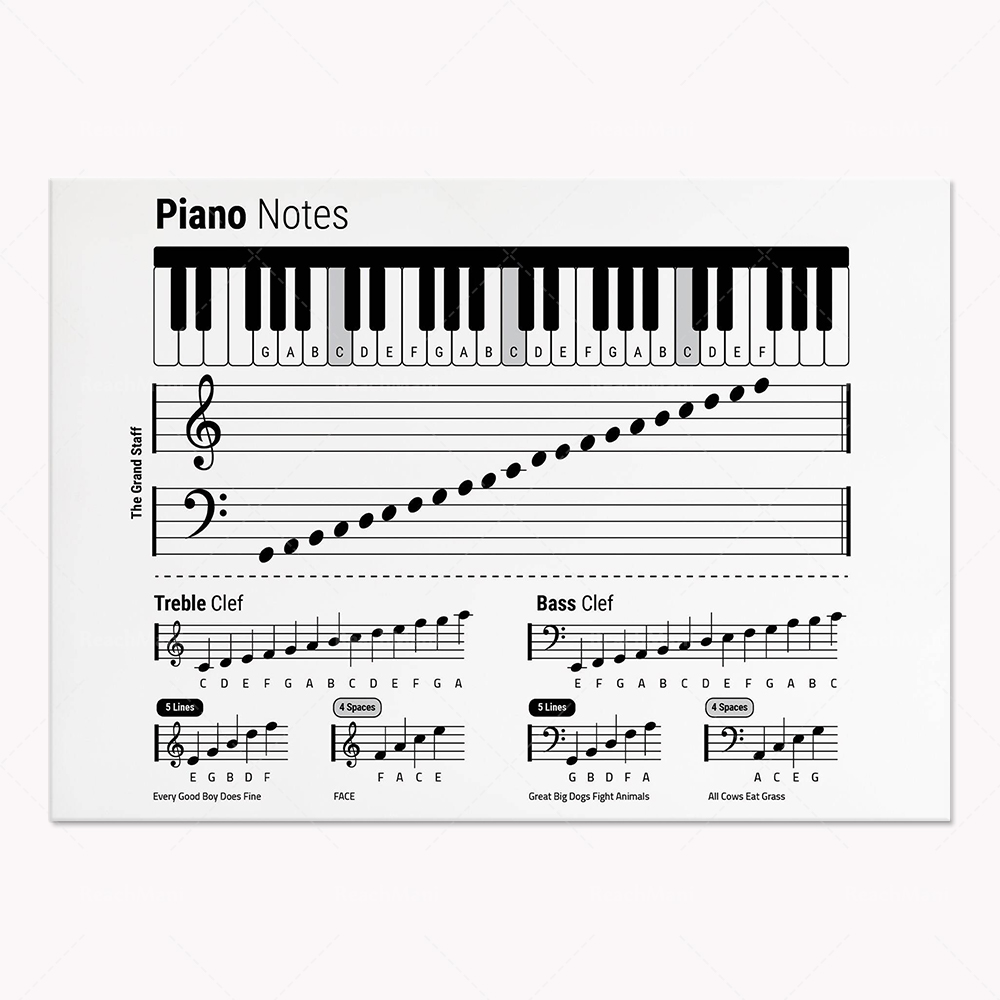 Teoria della chitarra, pianofo - Audio To Music Sheet recensione e prezzo