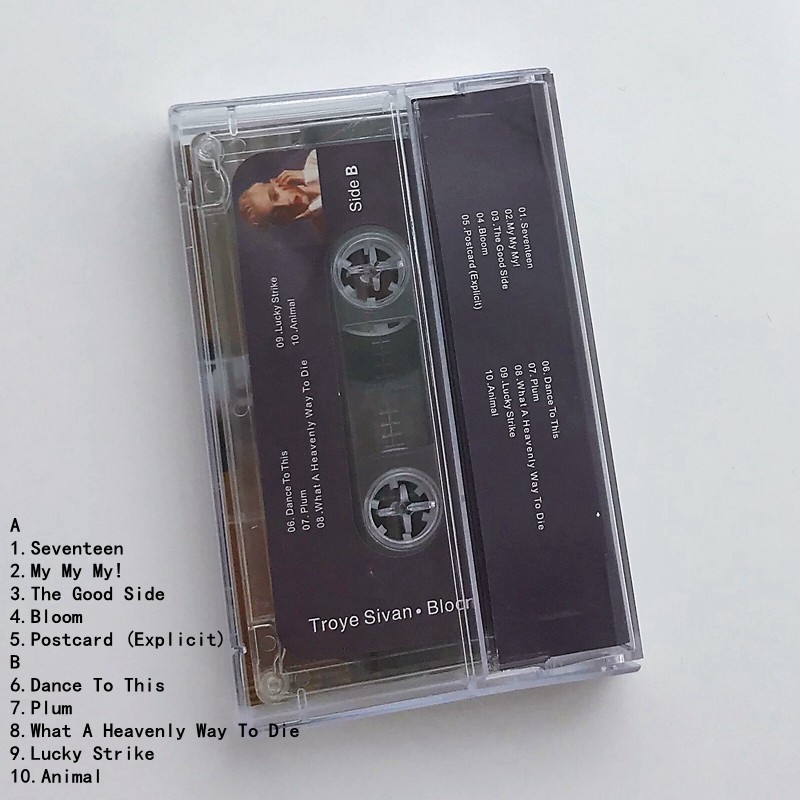 Cassetta Audio Musicale Ingles - Audio Music To Lyrics recensione e prezzo