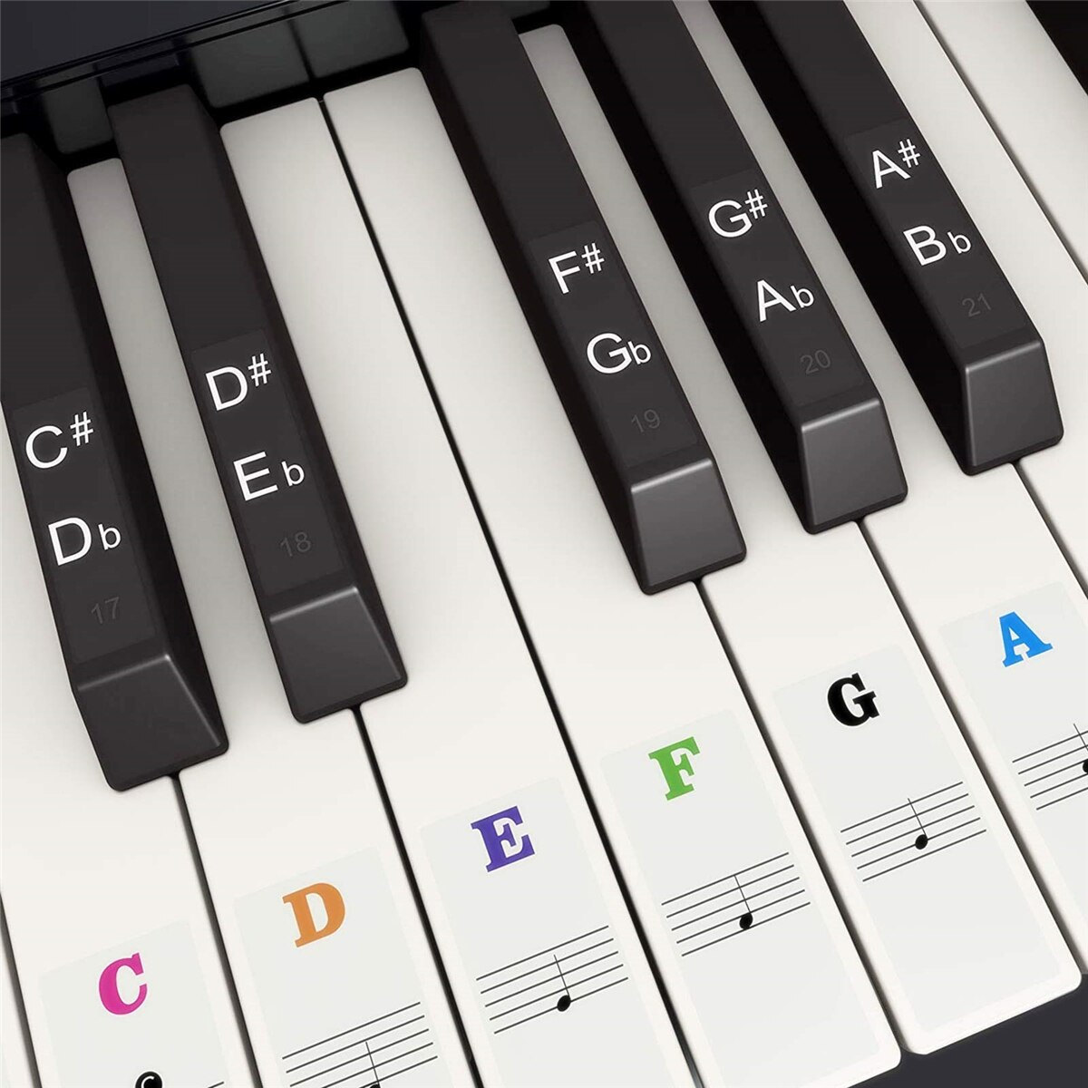 Adesivi per Tastiera di Pianof - Keyboard Piano 61 Key recensione e prezzo